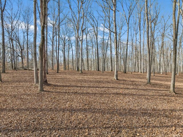 2 Peach Hollow Road, Franklin, TN 37064