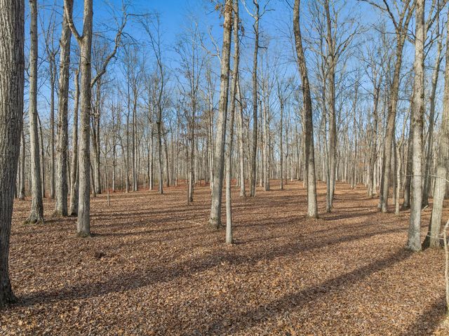 2 Peach Hollow Road, Franklin, TN 37064