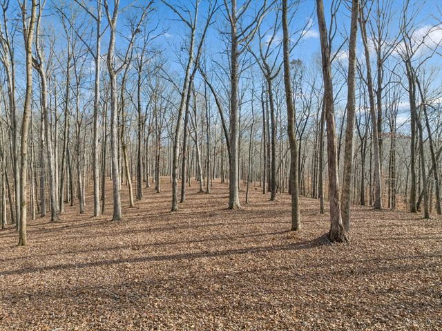 2 Peach Hollow Road, Franklin, TN 37064