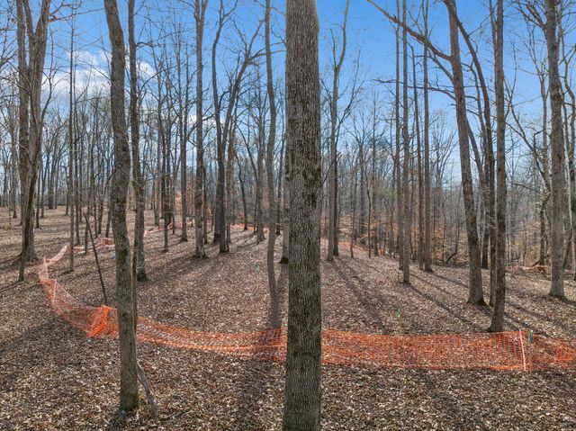 2 Peach Hollow Road, Franklin, TN 37064