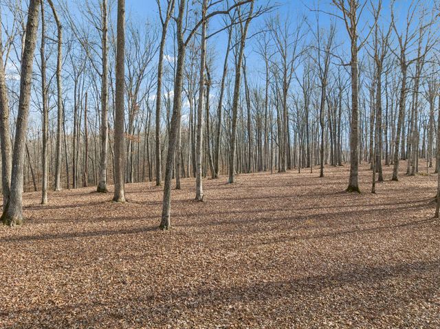 2 Peach Hollow Road, Franklin, TN 37064