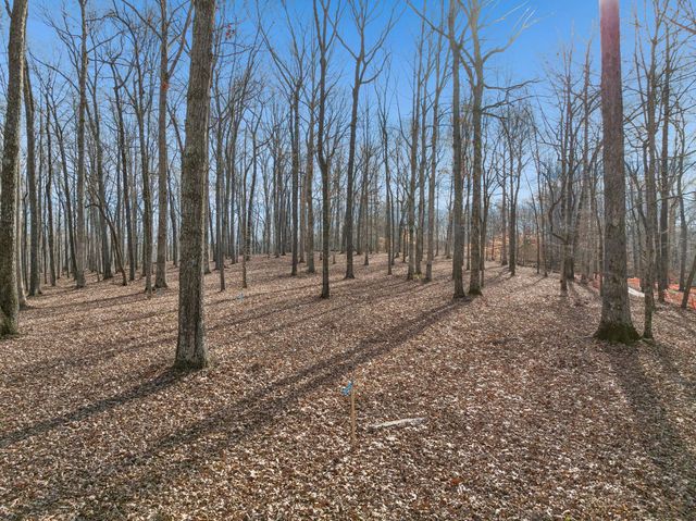 2 Peach Hollow Road, Franklin, TN 37064