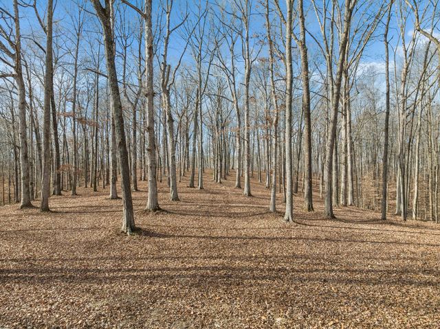 2 Peach Hollow Road, Franklin, TN 37064