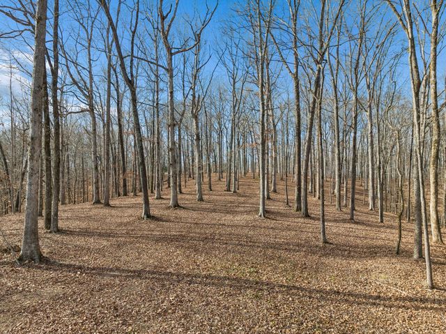 2 Peach Hollow Road, Franklin, TN 37064