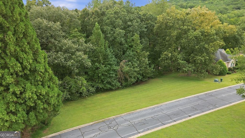 0 Granny Smith Circle, Clarkesville, GA 30523 — photo 3