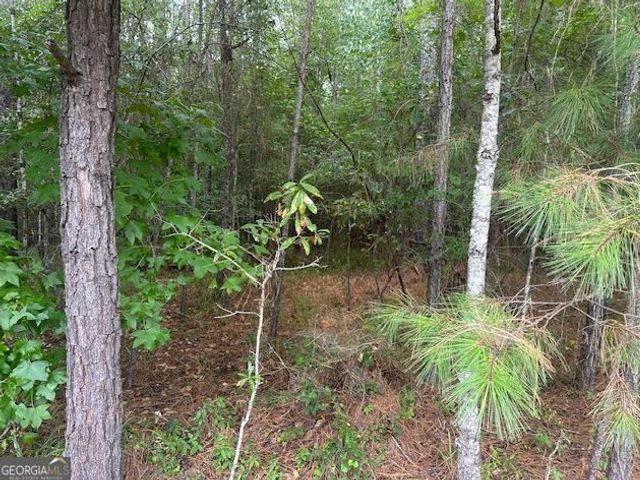 0 Edgewater, Eatonton, GA 31024