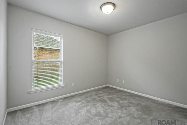 32463 Curtis Cove Ln, Denham Springs, LA 70706