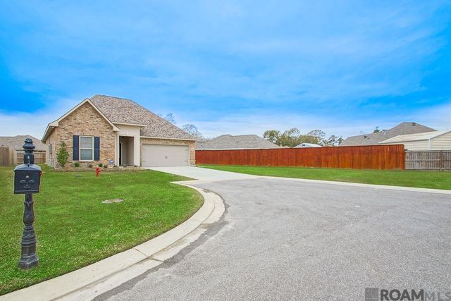 32463 Curtis Cove Ln, Denham Springs, LA 70706