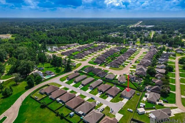 32463 Curtis Cove Ln, Denham Springs, LA 70706