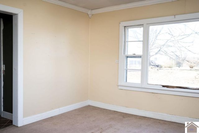 130 State Route 1820, Cunningham, KY 42035