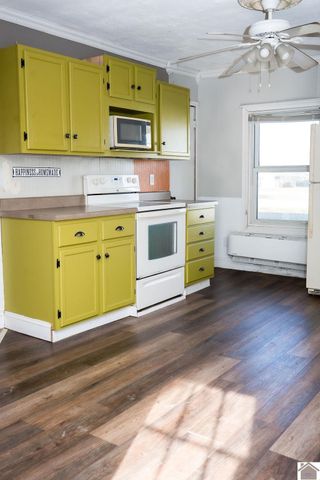 130 State Route 1820, Cunningham, KY 42035