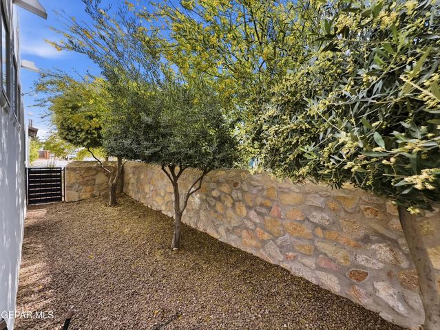 13553 HAZLEWOOD Street, Horizon City, TX 79928