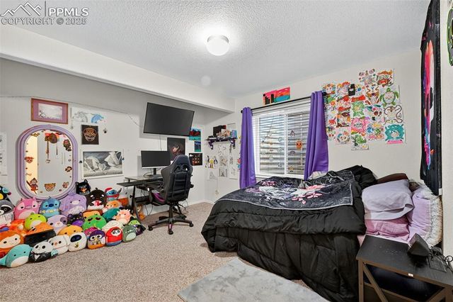 6152 Water Trough Trail, Colorado Springs, CO 80925