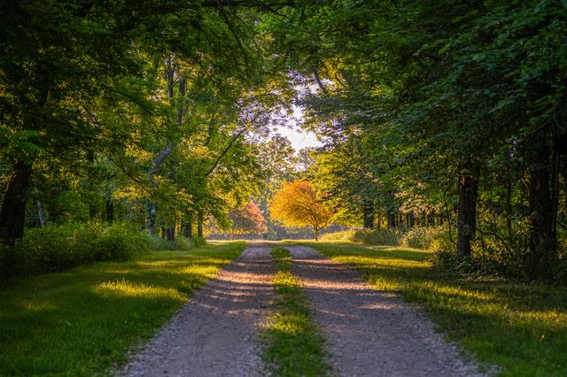 8467 W Placer Lane, Willard, MO 65781