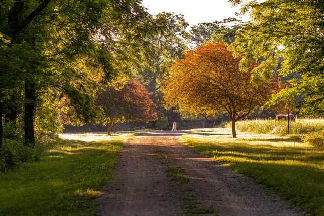 8467 W Placer Lane, Willard, MO 65781