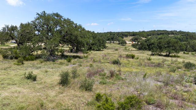 227 Mitchell Dr, Spring Branch, TX 78070