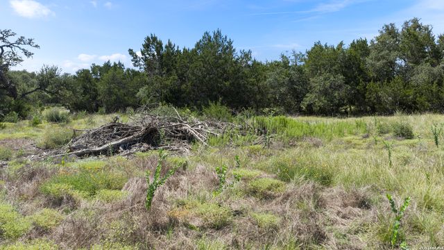 227 Mitchell Dr, Spring Branch, TX 78070
