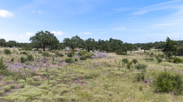 227 Mitchell Dr, Spring Branch, TX 78070