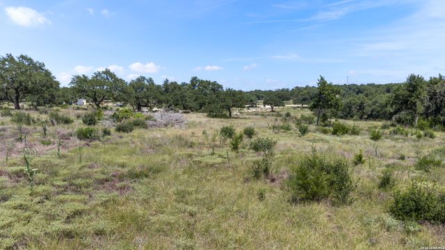 227 Mitchell Dr, Spring Branch, TX 78070