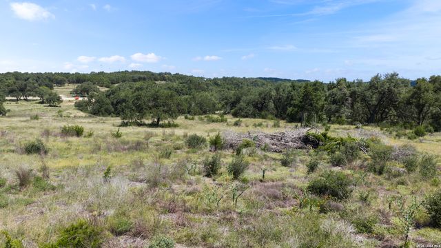 227 Mitchell Dr, Spring Branch, TX 78070