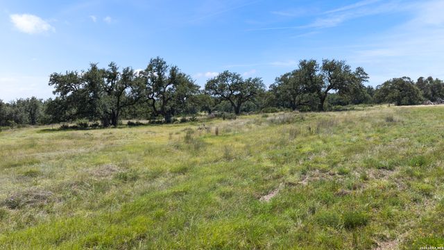 227 Mitchell Dr, Spring Branch, TX 78070