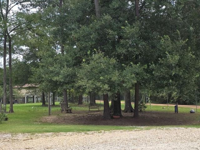 7715 Walnut Tree Lane, Plantersville, TX 77363