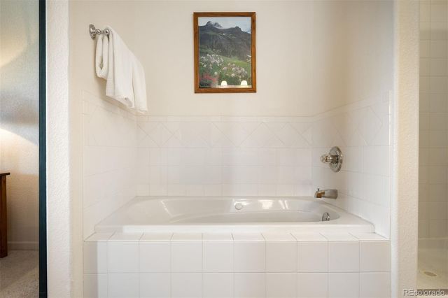 787 Mulligan Street 5, Fraser, CO 80442