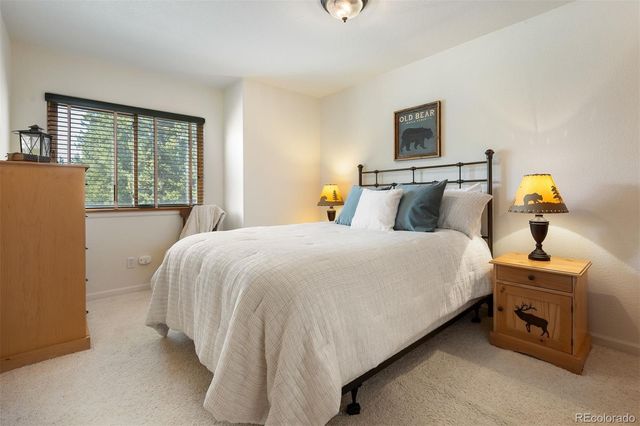 787 Mulligan Street 5, Fraser, CO 80442