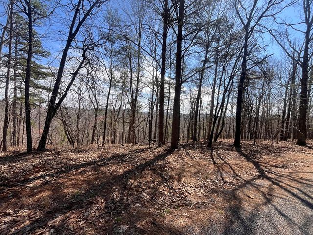 Lt 156 Drena Drive, Ellijay, GA 30540