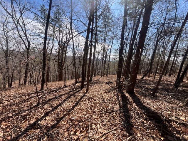 Lt 156 Drena Drive, Ellijay, GA 30540