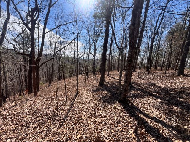 Lt 156 Drena Drive, Ellijay, GA 30540