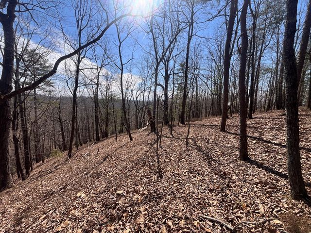 Lt 156 Drena Drive, Ellijay, GA 30540