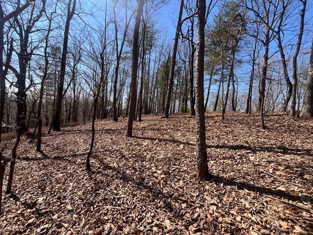 Lt 156 Drena Drive, Ellijay, GA 30540