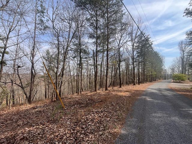 Lt 156 Drena Drive, Ellijay, GA 30540