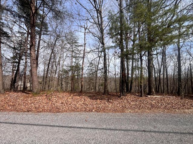 Lt 156 Drena Drive, Ellijay, GA 30540