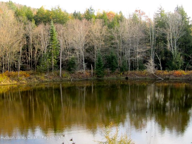 274 County Route 65 55, Windham, NY 12496