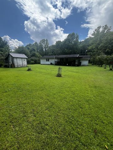 425 Right Fork Wilson Creek, Wayne, WV 25570