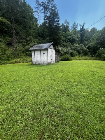 425 Right Fork Wilson Creek, Wayne, WV 25570