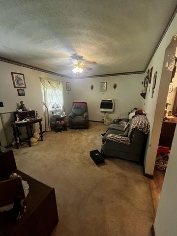 425 Right Fork Wilson Creek, Wayne, WV 25570