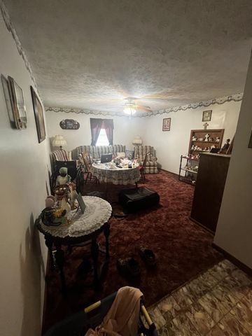 425 Right Fork Wilson Creek, Wayne, WV 25570