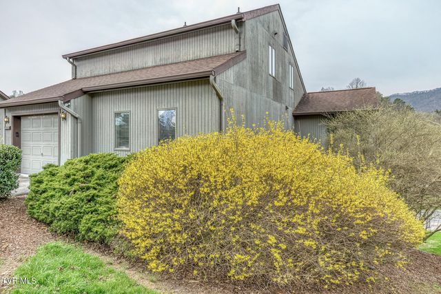 222 Willowbend Court, Kingsport, TN 37660