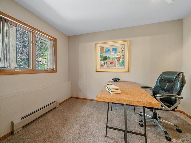 675 Witter Gulch Road, Evergreen, CO 80439
