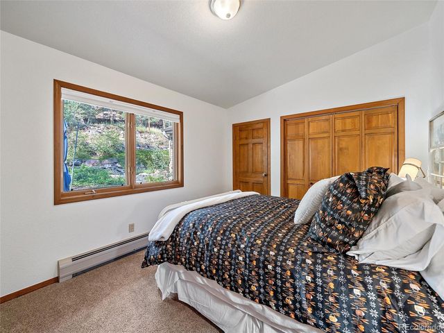 675 Witter Gulch Road, Evergreen, CO 80439