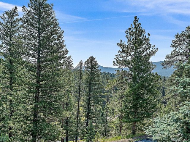 675 Witter Gulch Road, Evergreen, CO 80439