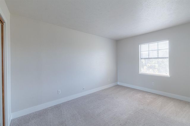 17211 Wagganner Drive, Hockley, TX 77447