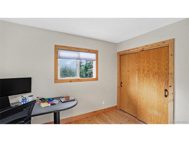 262 Dick Mountain Dr, Bailey, CO 80421