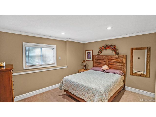 262 Dick Mountain Dr, Bailey, CO 80421