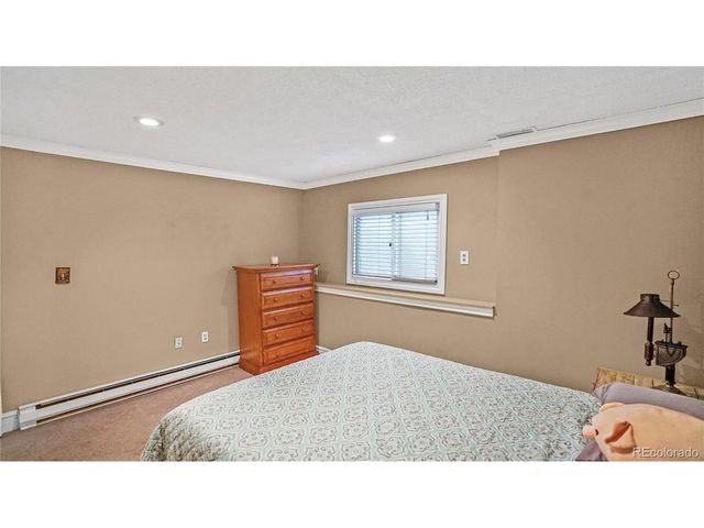 262 Dick Mountain Dr, Bailey, CO 80421