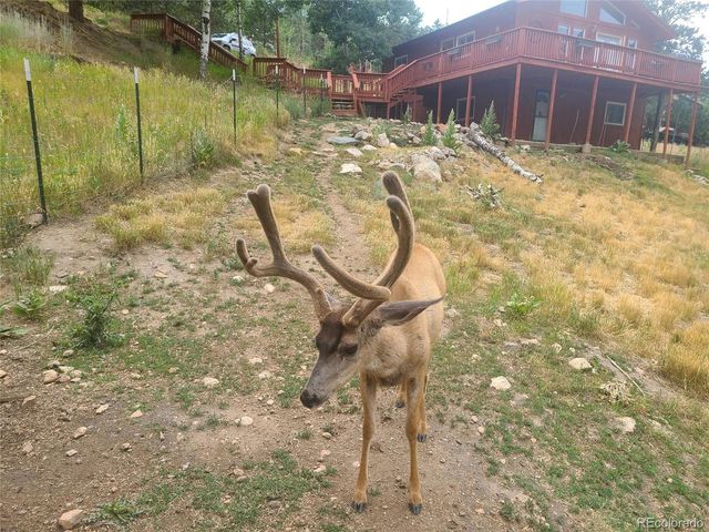 262 Dick Mountain Dr, Bailey, CO 80421