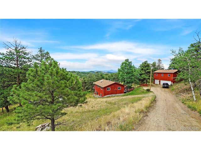 262 Dick Mountain Dr, Bailey, CO 80421